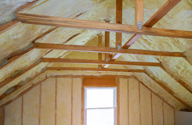 Best Attic Insulation Installation  in Lake Nacimiento, CA