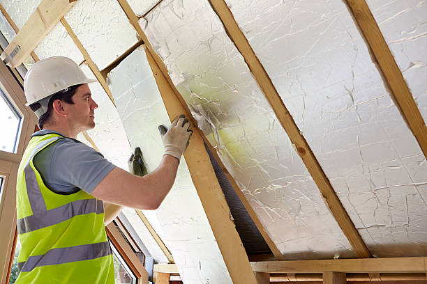 Best Insulation Repair Services  in Lake Nacimiento, CA